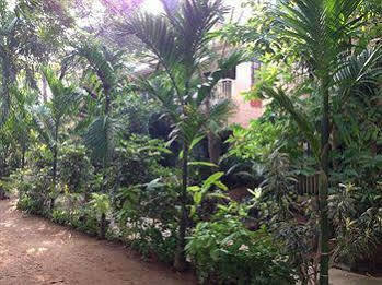 Pallava Dynasty Hotell Mahabalipuram Eksteriør bilde
