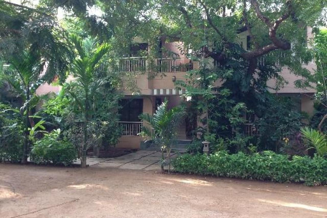Pallava Dynasty Hotell Mahabalipuram Eksteriør bilde